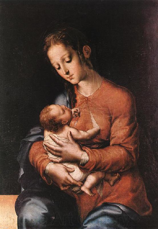 MORALES, Luis de Madonna with the Child gg Germany oil painting art